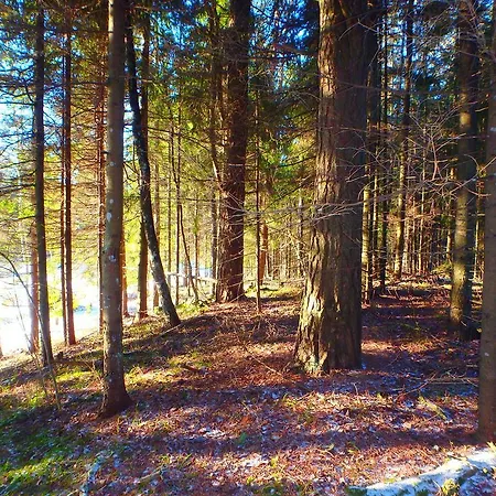 Karumetsa Korter