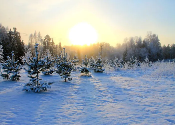 Apartmán Karumetsa *