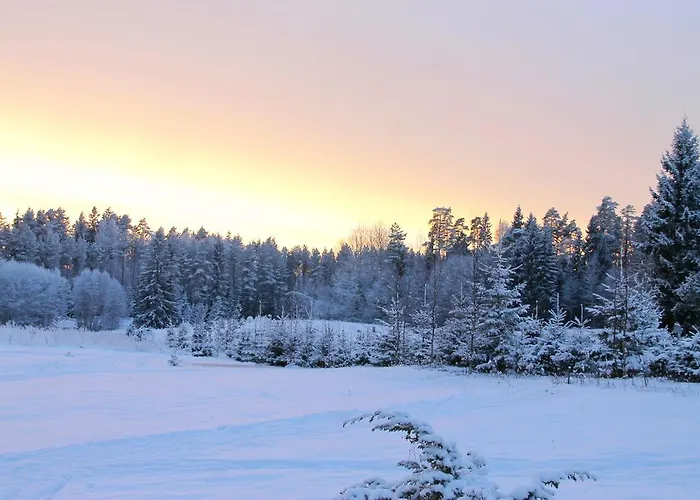 Karumetsa * Otepää
